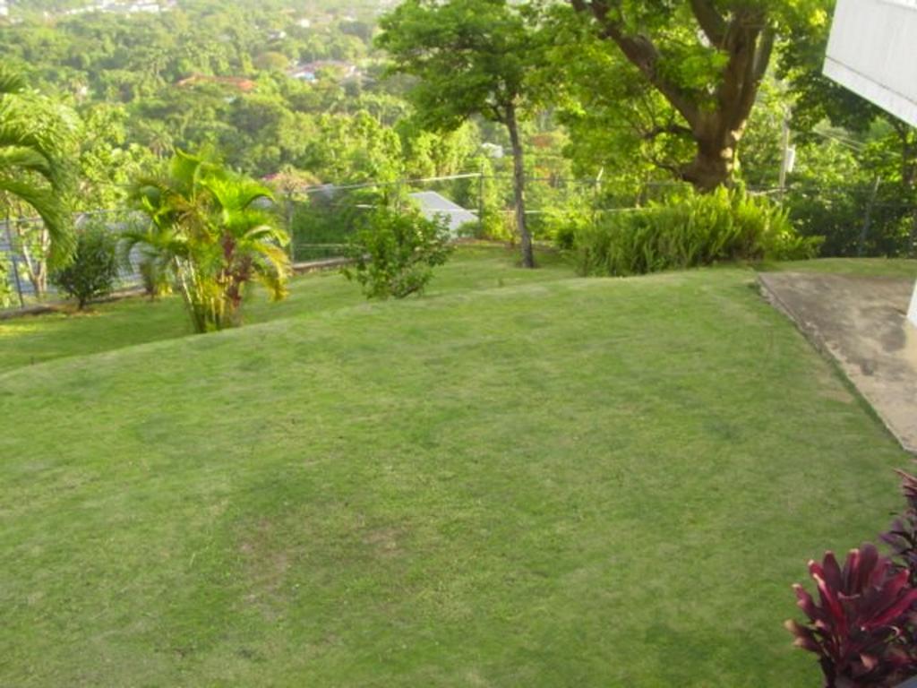 Hill Top Kingston Jamaica Ngoại thất bức ảnh